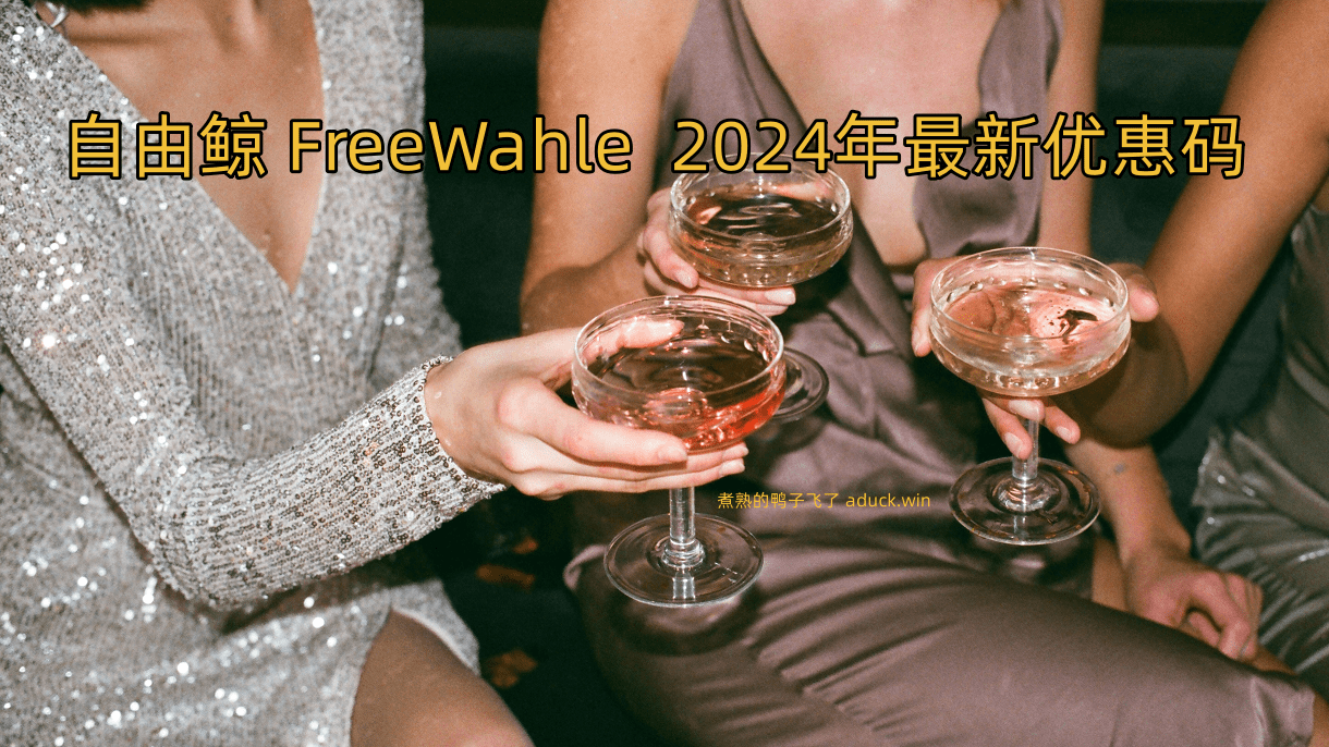 自由鲸 FreeWahle 邀请码平价稳定老站SSR/V2ray机场 心阶云 2024年1月最新优惠码 - 第1张图片